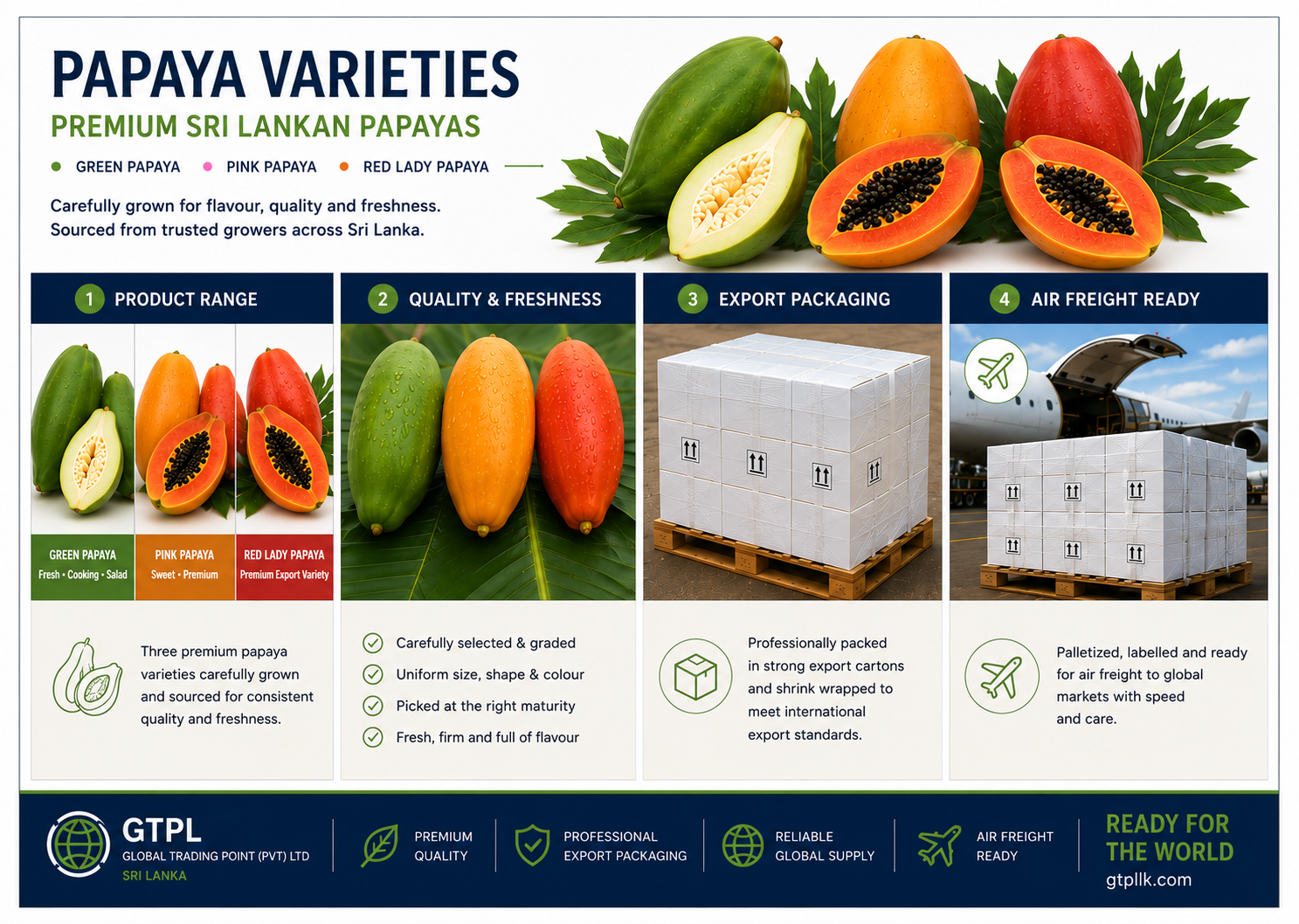 Premium Sri Lankan Papaya Varieties For Export
