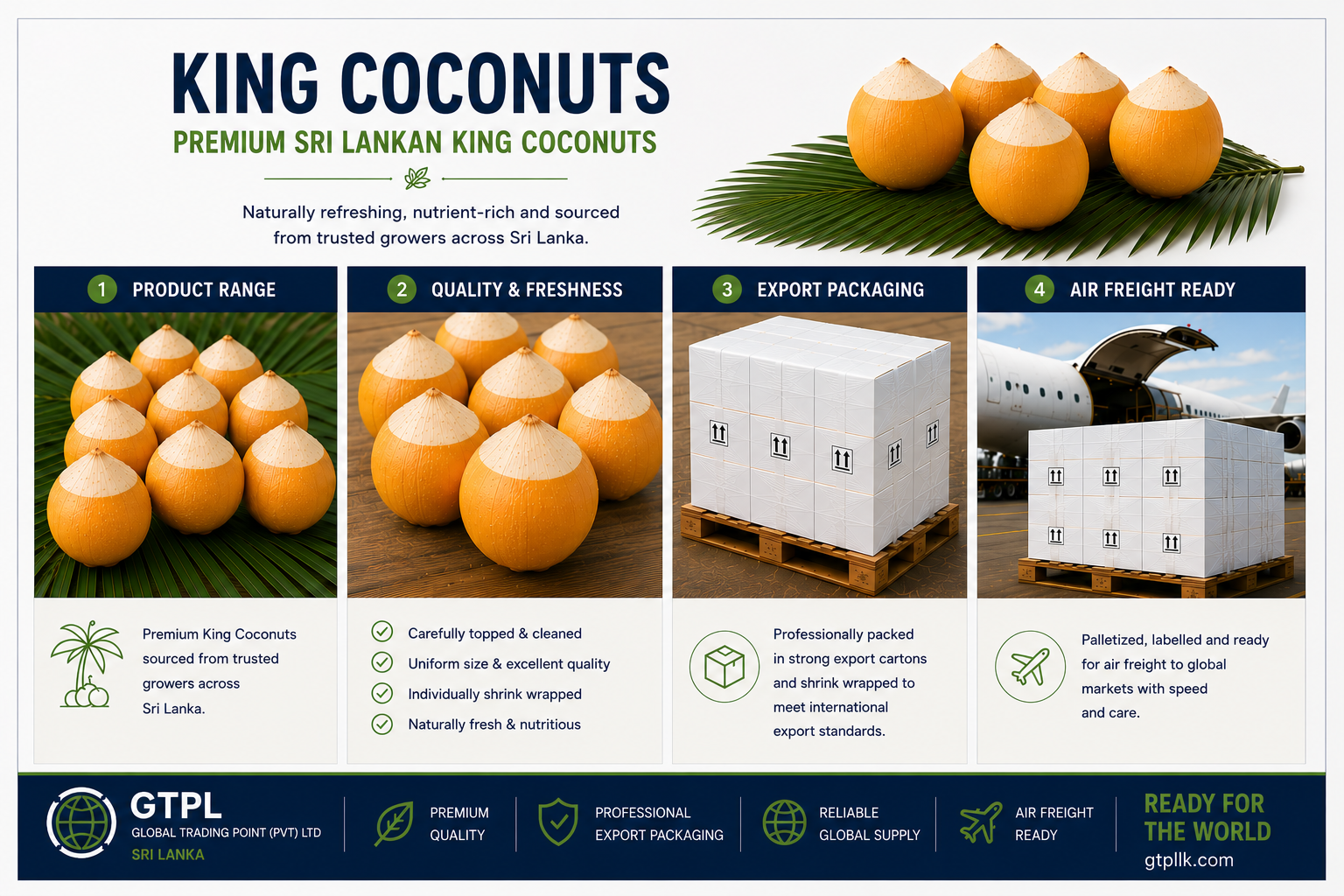 Fresh Sri Lanka King Coconuts Export