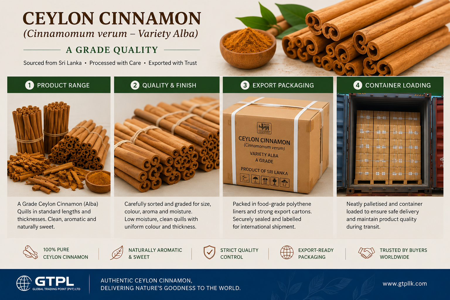 Ceylon Cinnamon *Alba